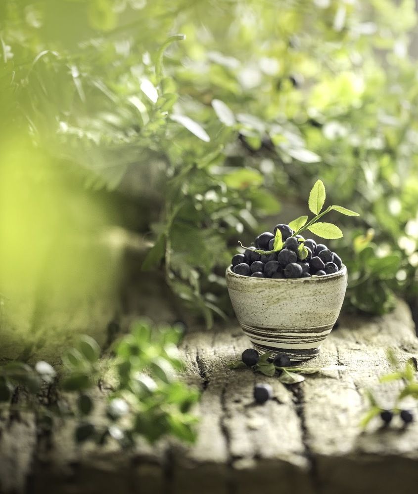 Летнее настроение