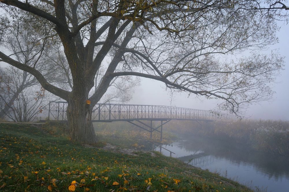 Photograph by Оксана Ильченко