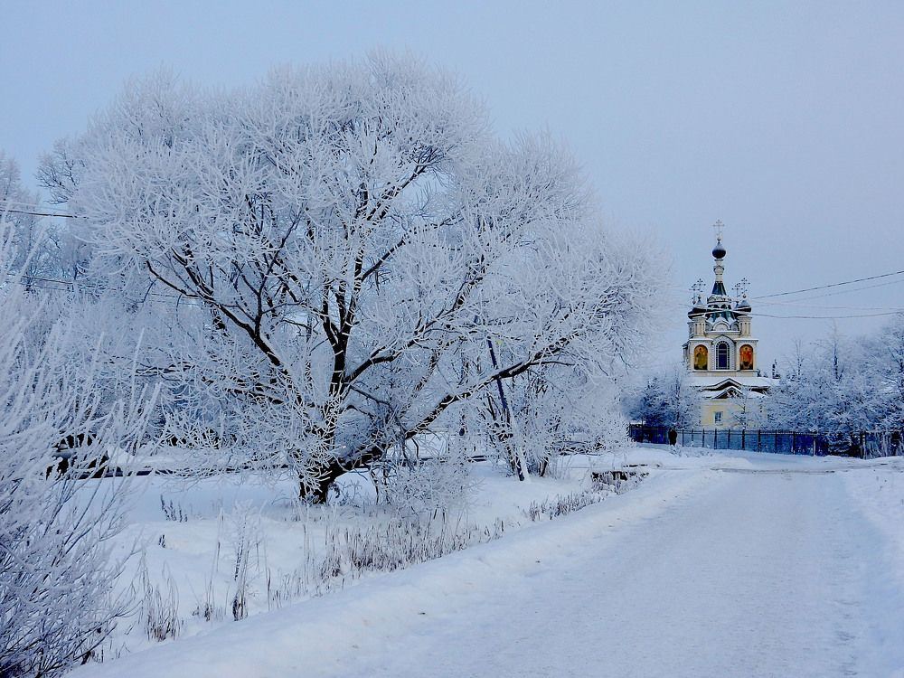 Photograph by Елена Гуляева