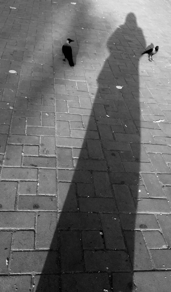 Photograph by Shumi Noor