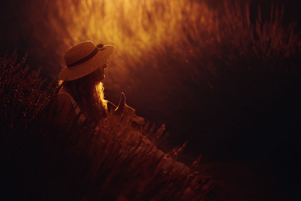 Закат в лаванде