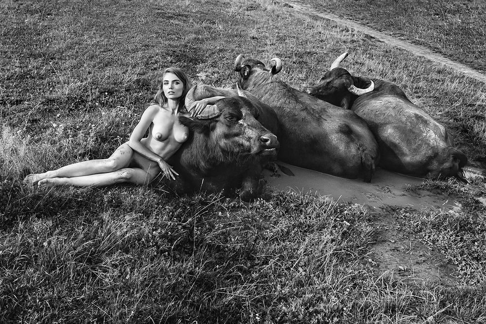 Укротительница буйволов 3