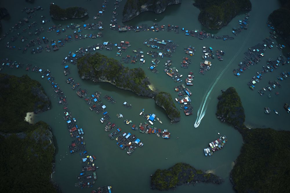 Photograph by Phuc Thanh Nguyen