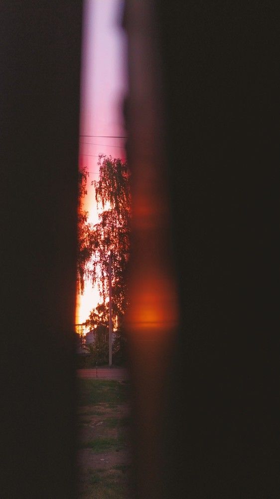 Photograph by Юлия Плаксина