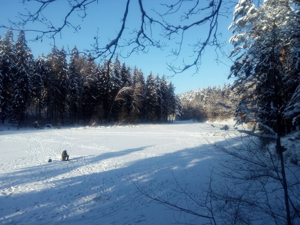 Лесное озеро