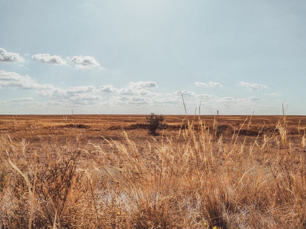 Photograph by Tata Glazkova