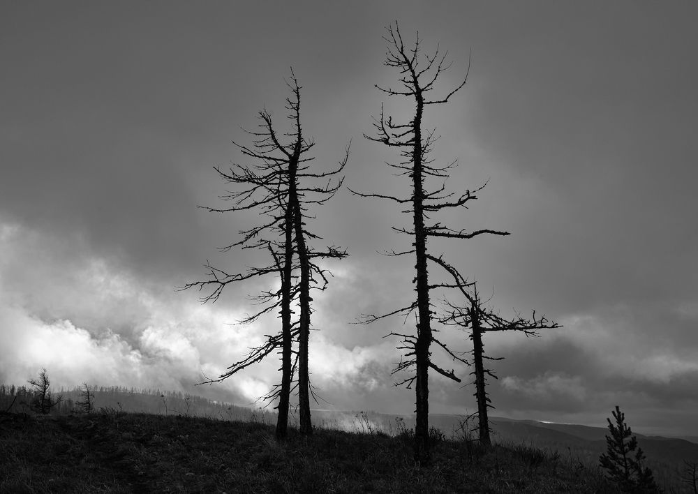 Фотография автора Сергей Сынтин