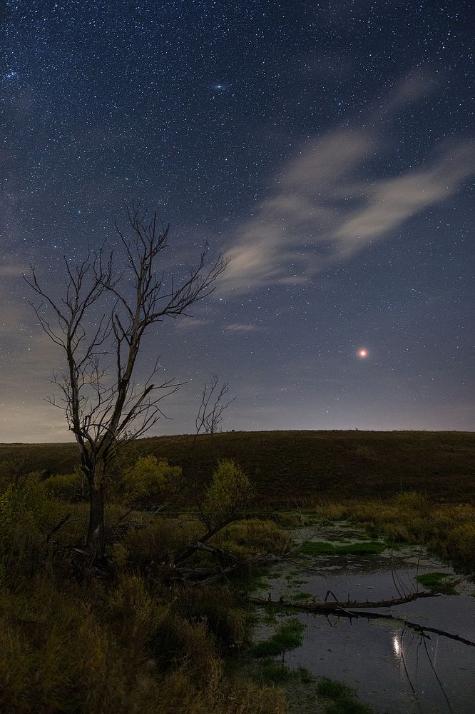 Марс над бобровой запрудой