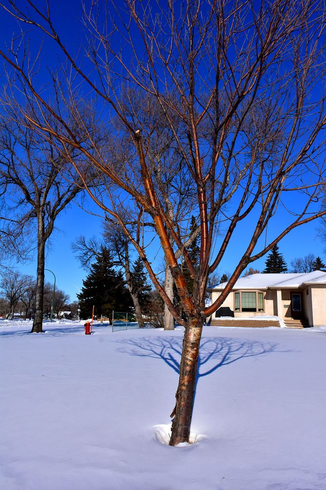 Photograph by HUGO MARCELO CACERES