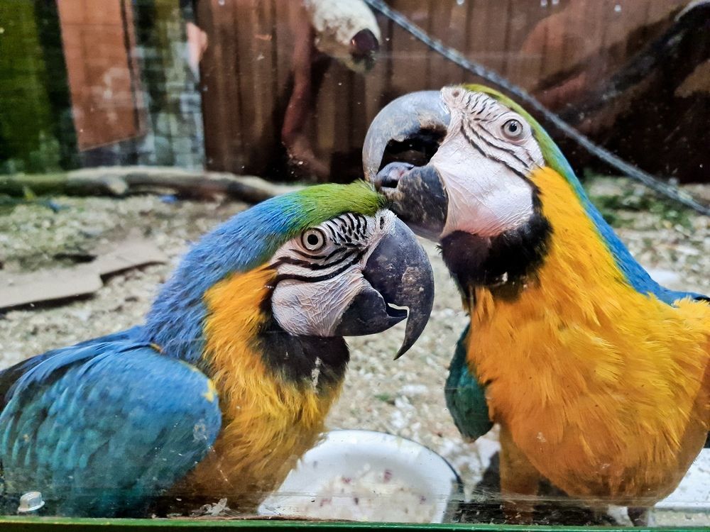 Photograph by СТАРКОВА ПОЛИНА