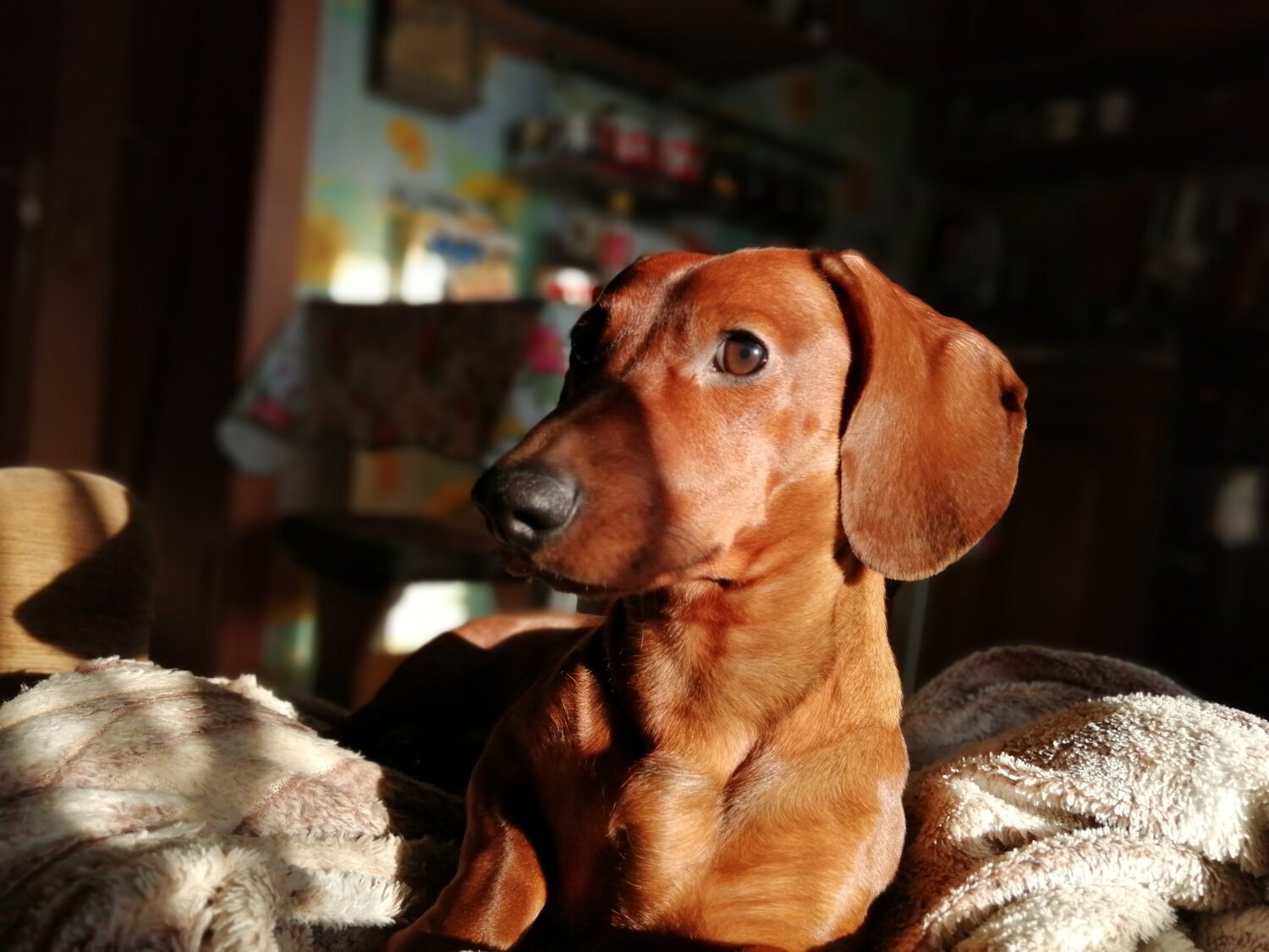 Photo #5768493
