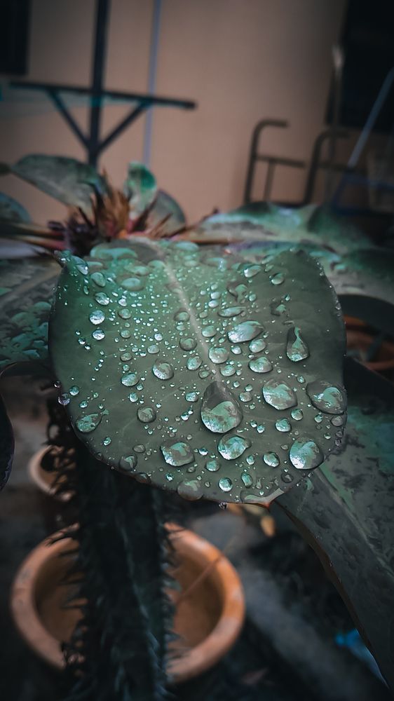After Rain