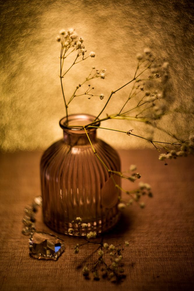 Photograph by Tatiana Kurilas