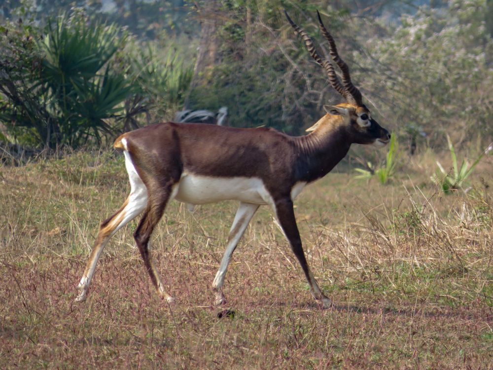 Photograph by Susmita Paul