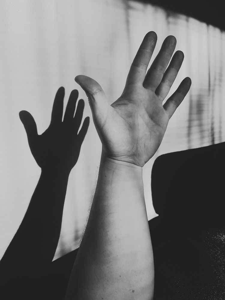 Фотография автора Josef Nový