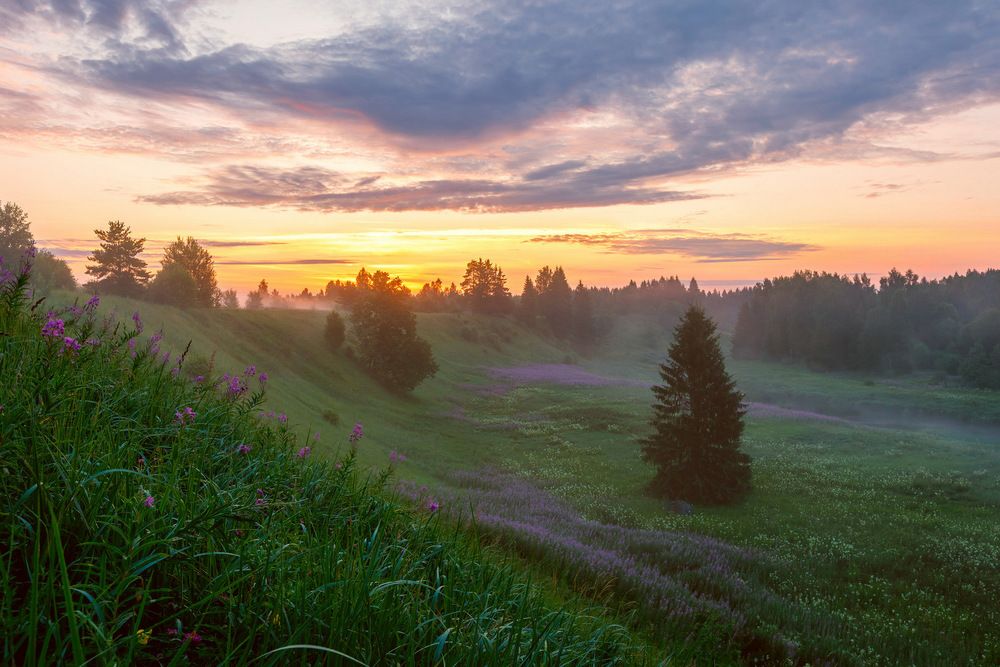 Фотография автора Лана Григорьева