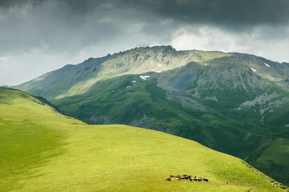 Photograph by Елена Покрепа