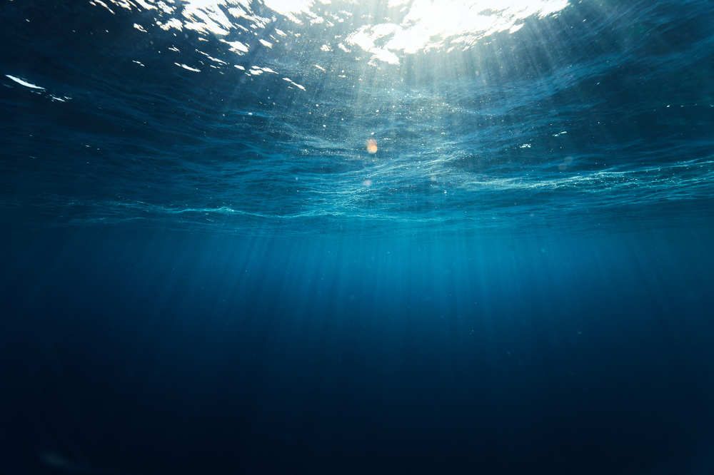 Живой океан