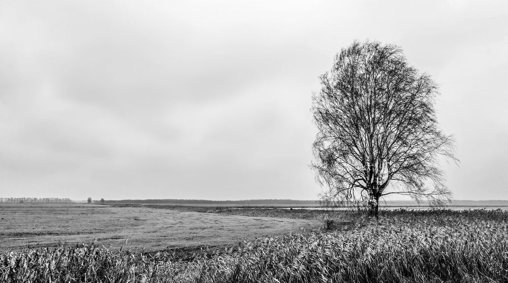 Фотография автора Александр Буренко