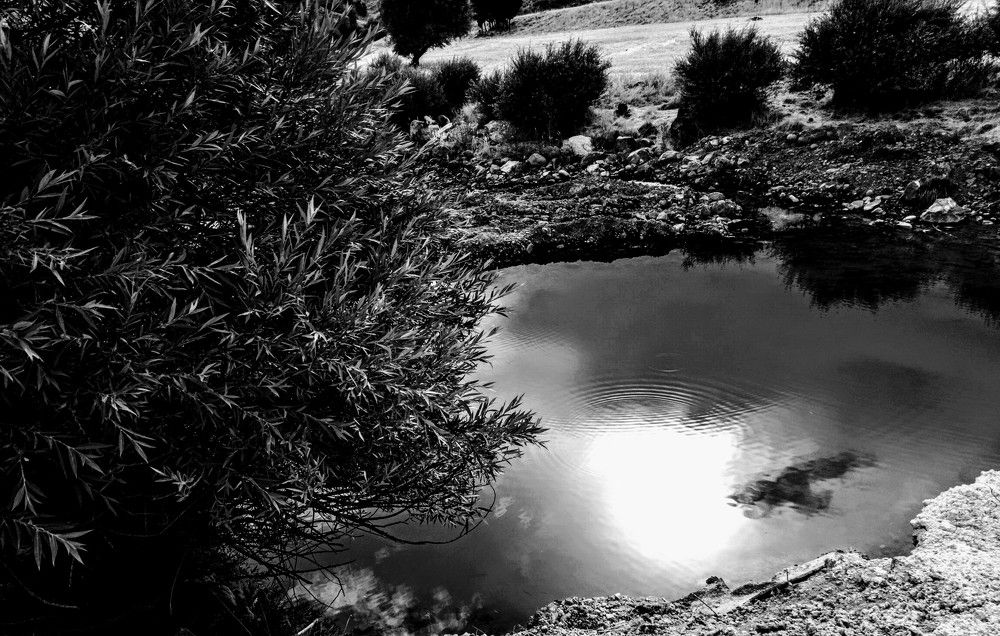 Photograph by Sercan Polat