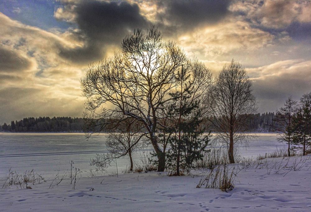 Photo #5768829