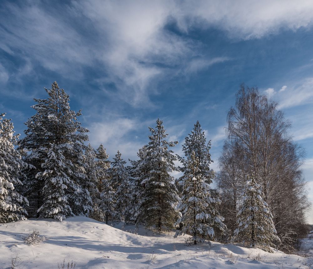 Фотография автора Виктор Руденко