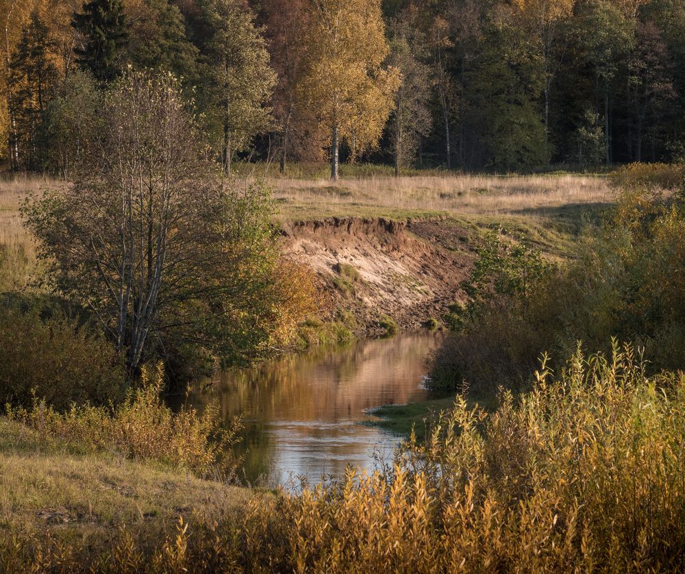 Фотография автора Виктор Руденко