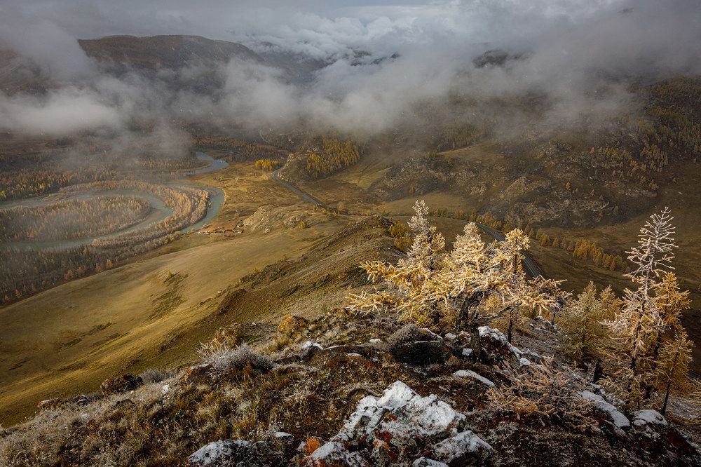 Фотография автора Лана Григорьева
