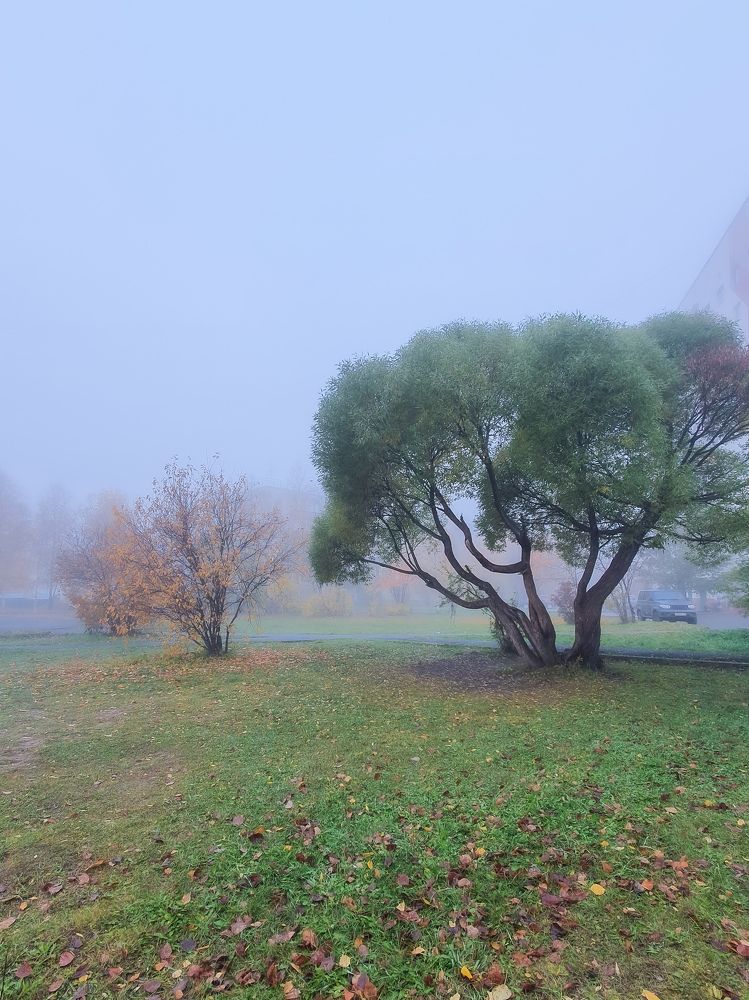 Photograph by Анна Дорофеева