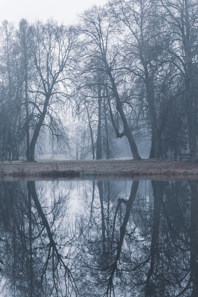 Фотография автора Лана Григорьева