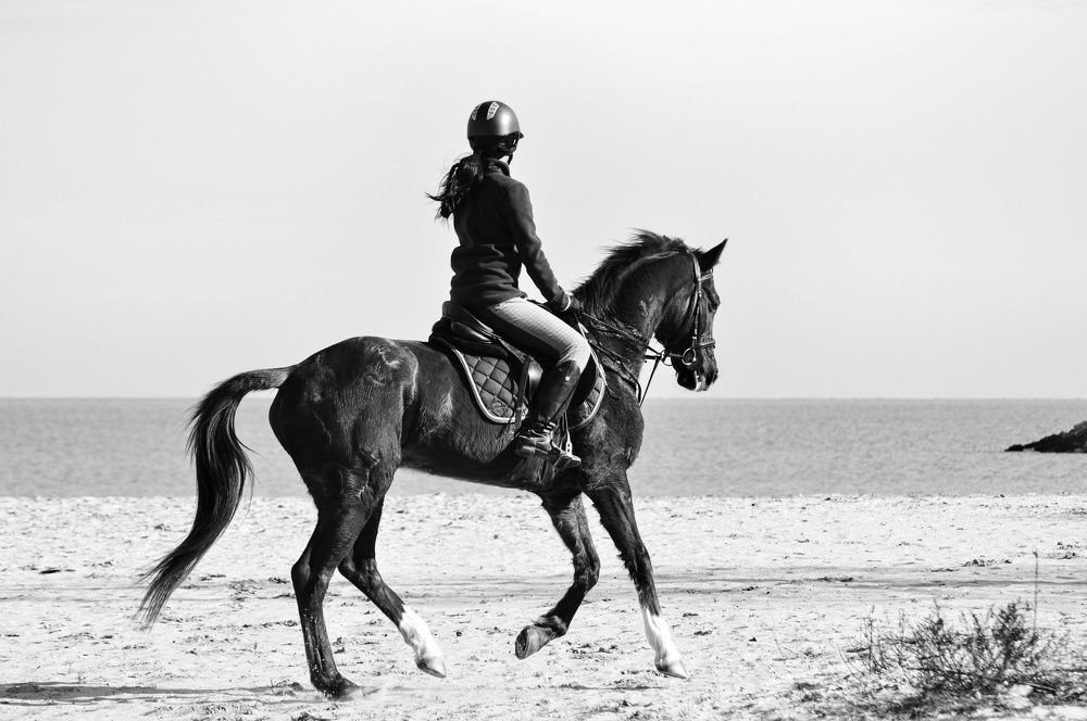 Photograph by Stoyan Baev