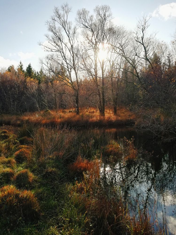 Заповедник