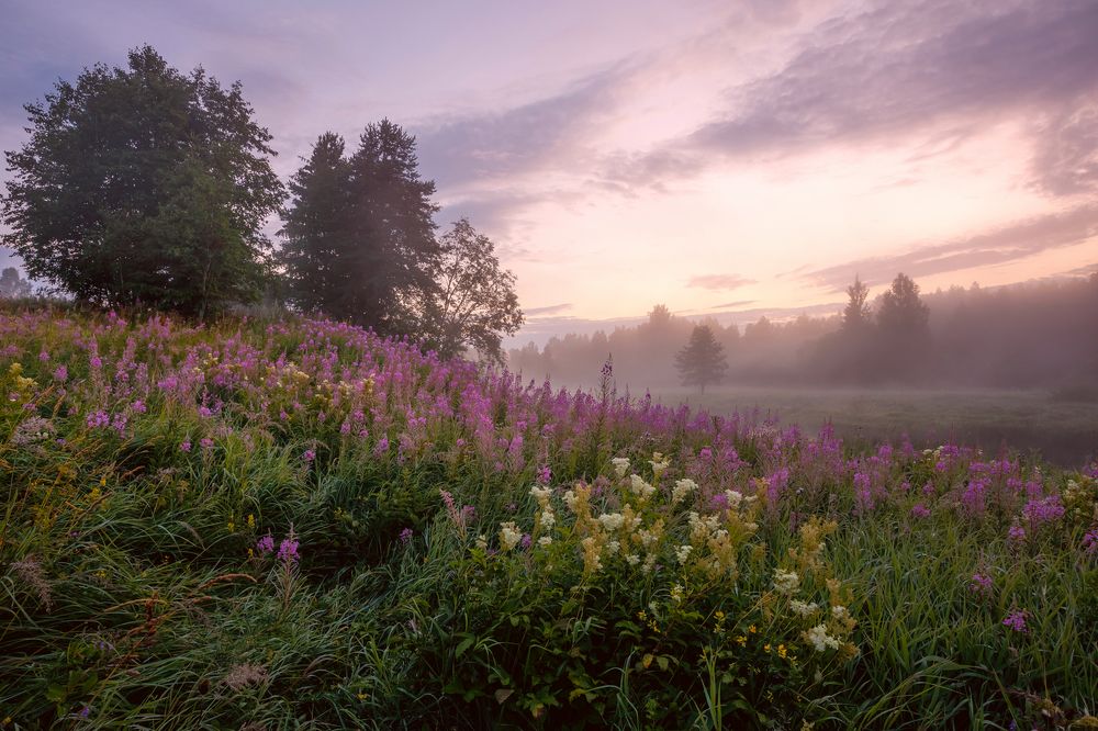 Фотография автора Лана Григорьева
