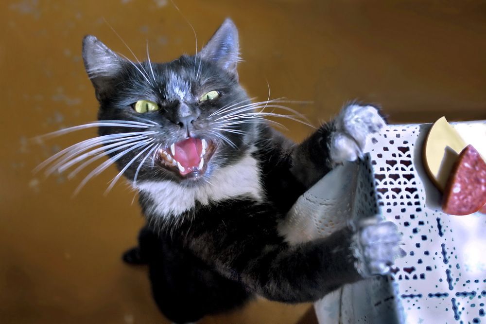 Photograph by Irina Galaktionova