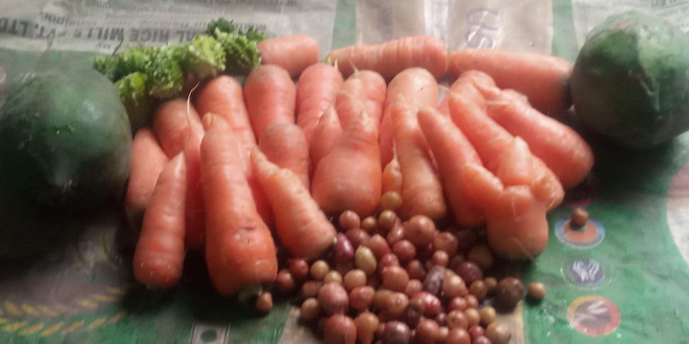 Фотография автора Tom Kottackal