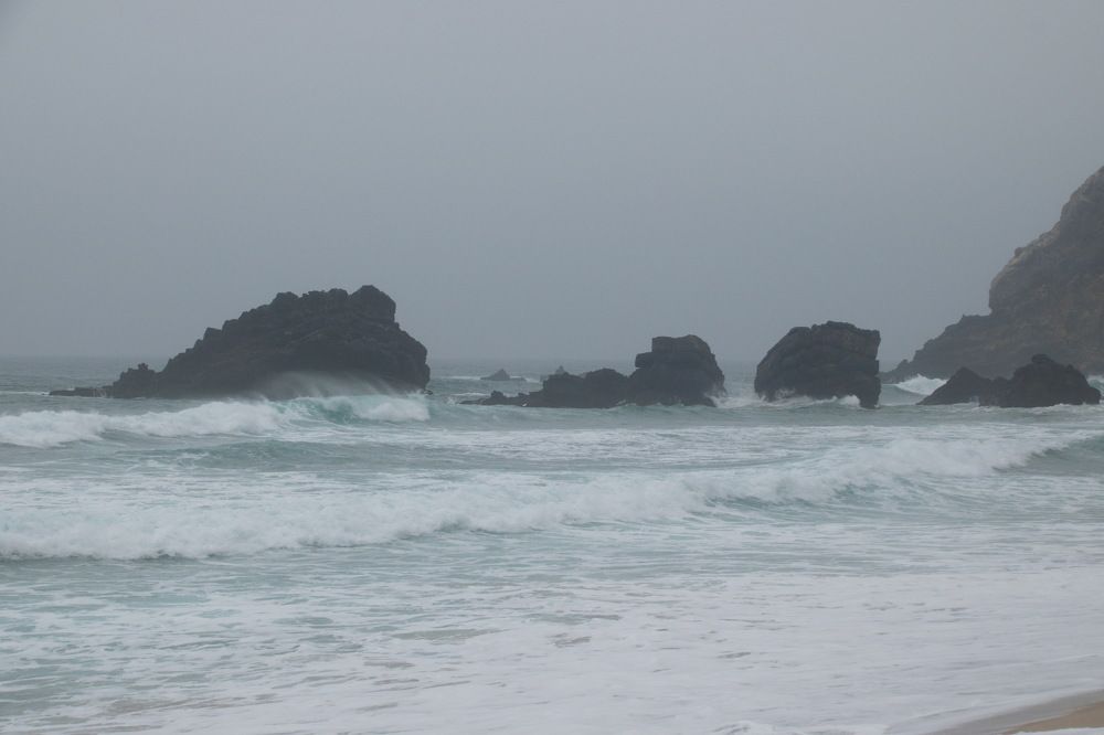 Photograph by 