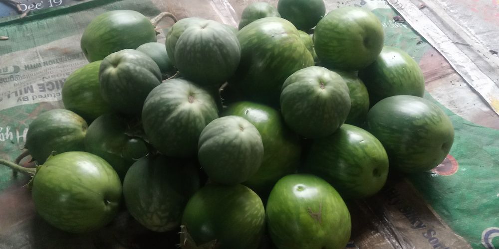 Фотография автора Tom Kottackal