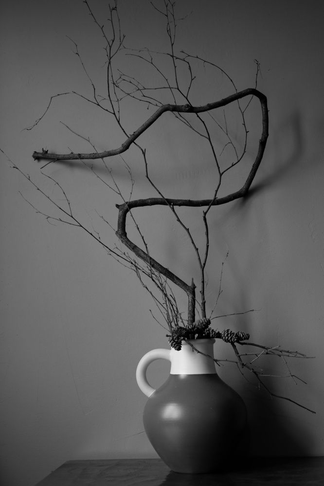 Photo #5769080