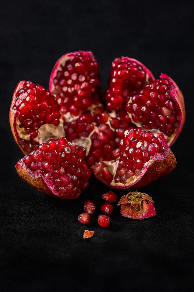 Photograph by Tamar Riabukha