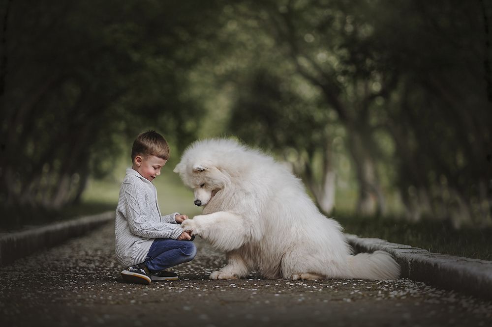 Photograph by Ксения Лысенкова