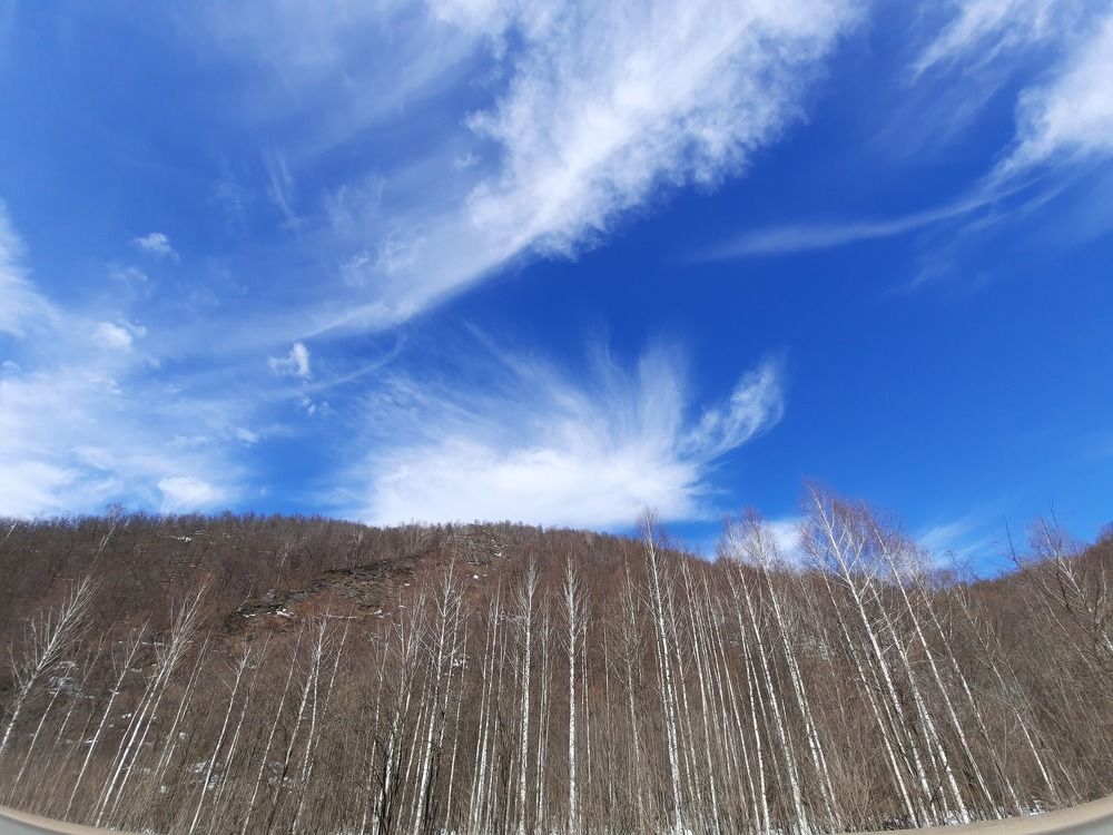 Photograph by Галина Сергеева