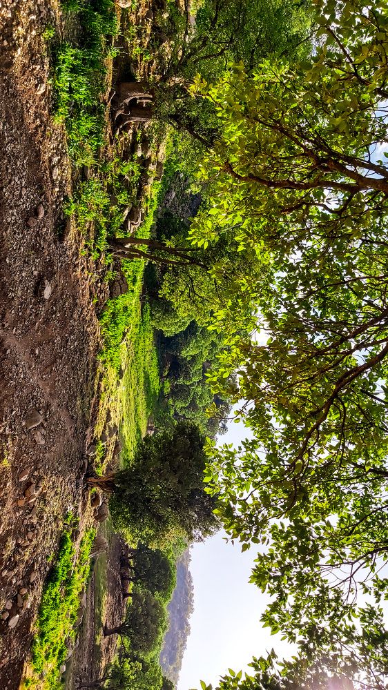 Photograph by Reza Aziz