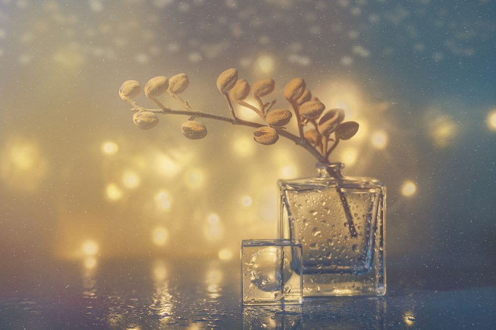 Photograph by MVO (Марк Орлов)