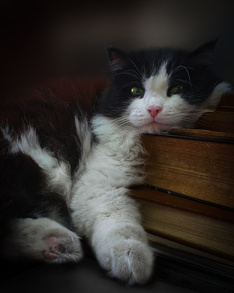 Стремление к знаниям