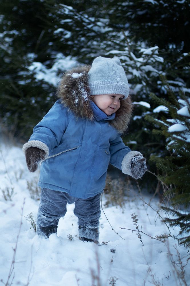 Зимняя сказка