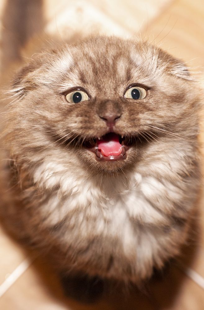 Photograph by Ольга Богданова