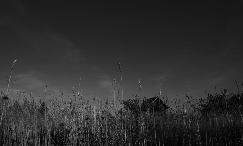 Photograph by Николай Алексеев