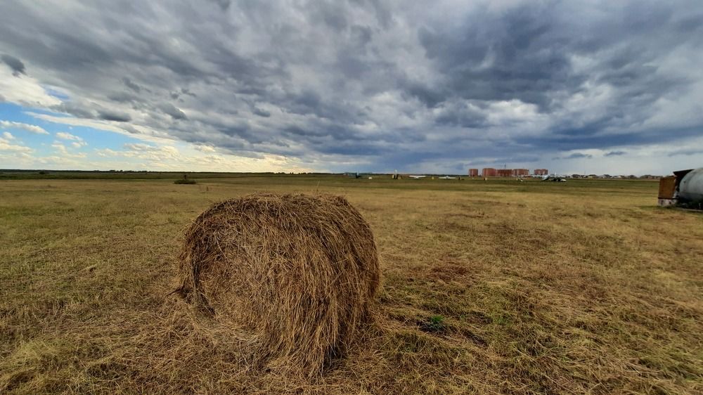 Photograph by Ольга Шамонина