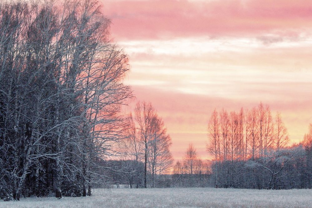 Photograph by Алексей Куренков
