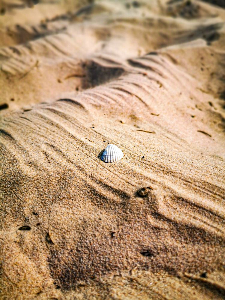 Фотография автора Дмитрий Лебедь